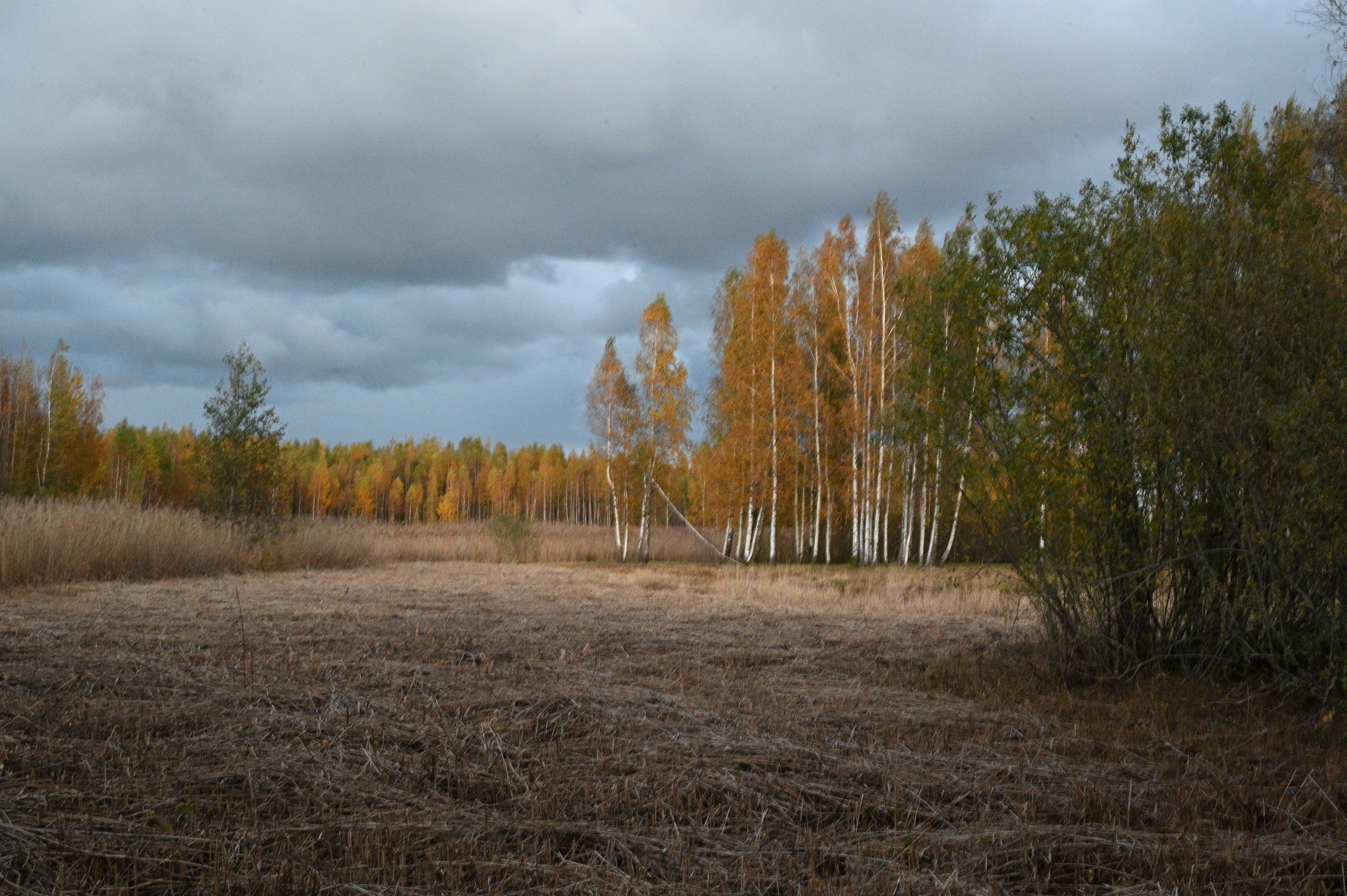 2025/10/18 - walk/DSC_0537.JPG